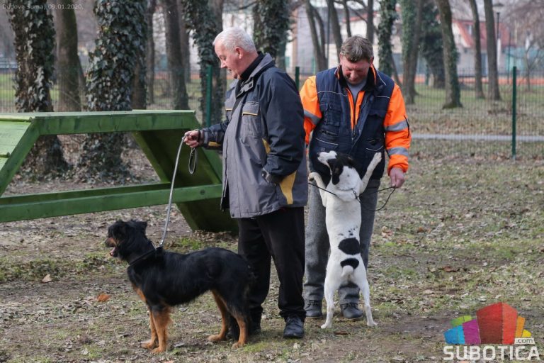 Otvoreni prvi parkovi za pse u Subotici