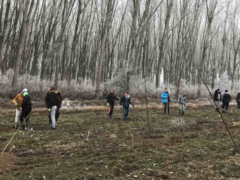 Vojvodina bogatija za 8.000 sadnica