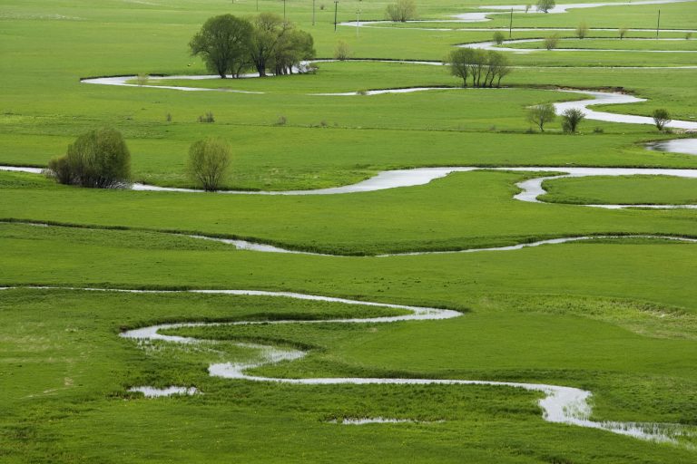 U svetu sve važnije, a u BiH zanemarene – gde nestaju močvare?