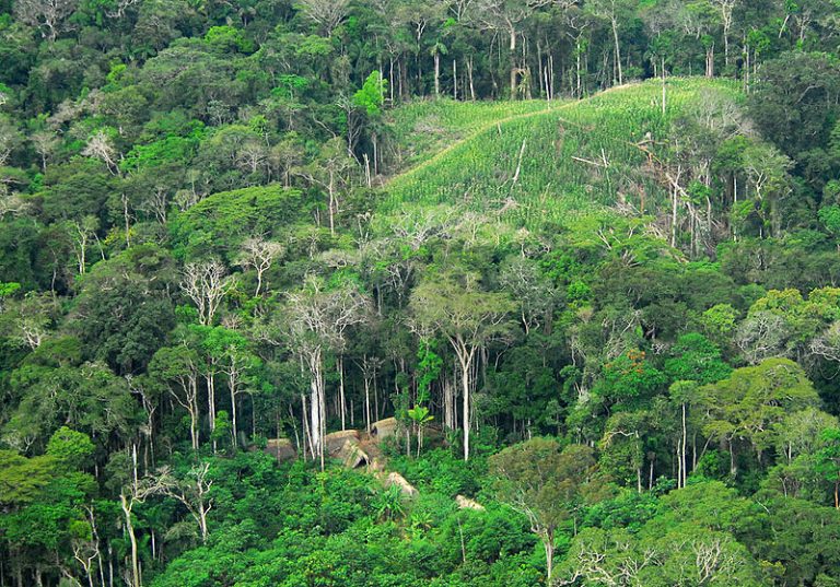 COP26: starosedeoci pozivaju da se obustavi rat sa prirodom