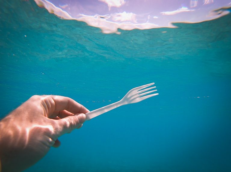 Zašto morske životinje jedu zalutali plastični otpad?