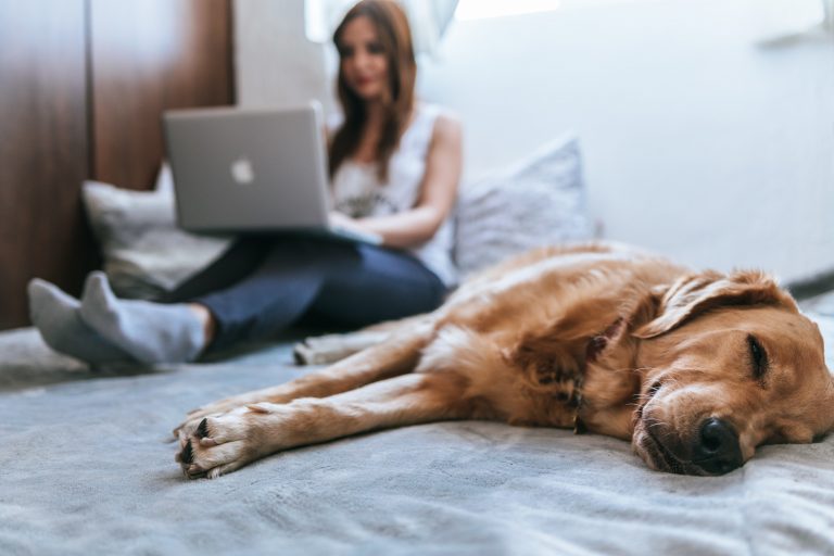 Kako uštedeti električnu energiju ako radite od kuće?