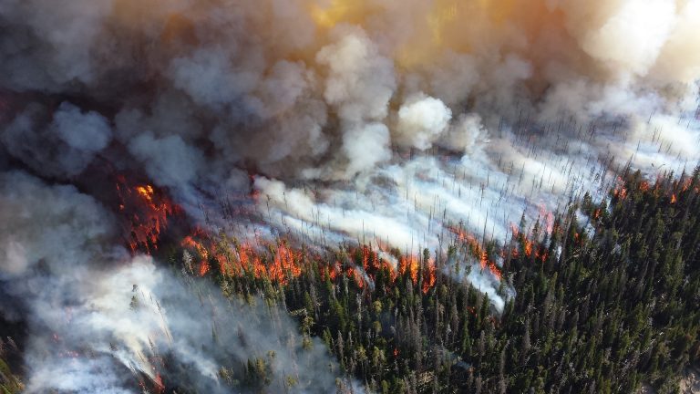 Kanada se bori sa šumskim požarima
