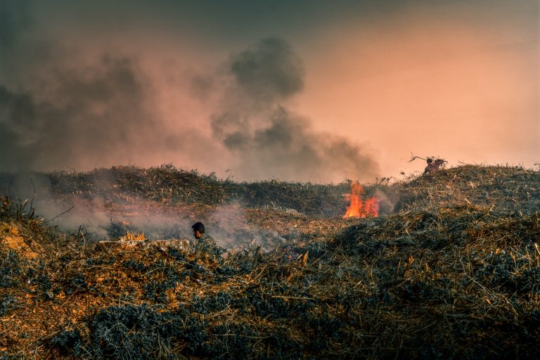 WMO upozorava: za nama je sedam najtoplijih godina od kako se vrše merenja