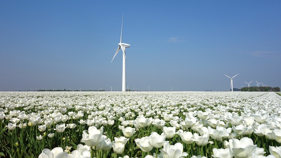 wind_energy_wind_turbine_energija_vetra_vetroturbina_wind_park_vetropark_vetroelektrana