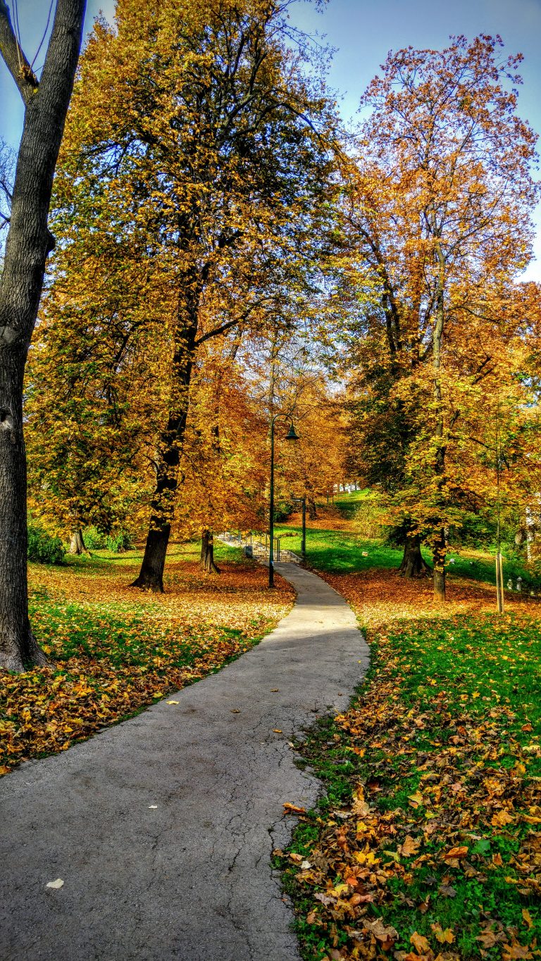 ŽELEZNIČKI PARK U NOVOM SADU BIĆE BOGATIJI ZA 50 NOVIH SADNICA