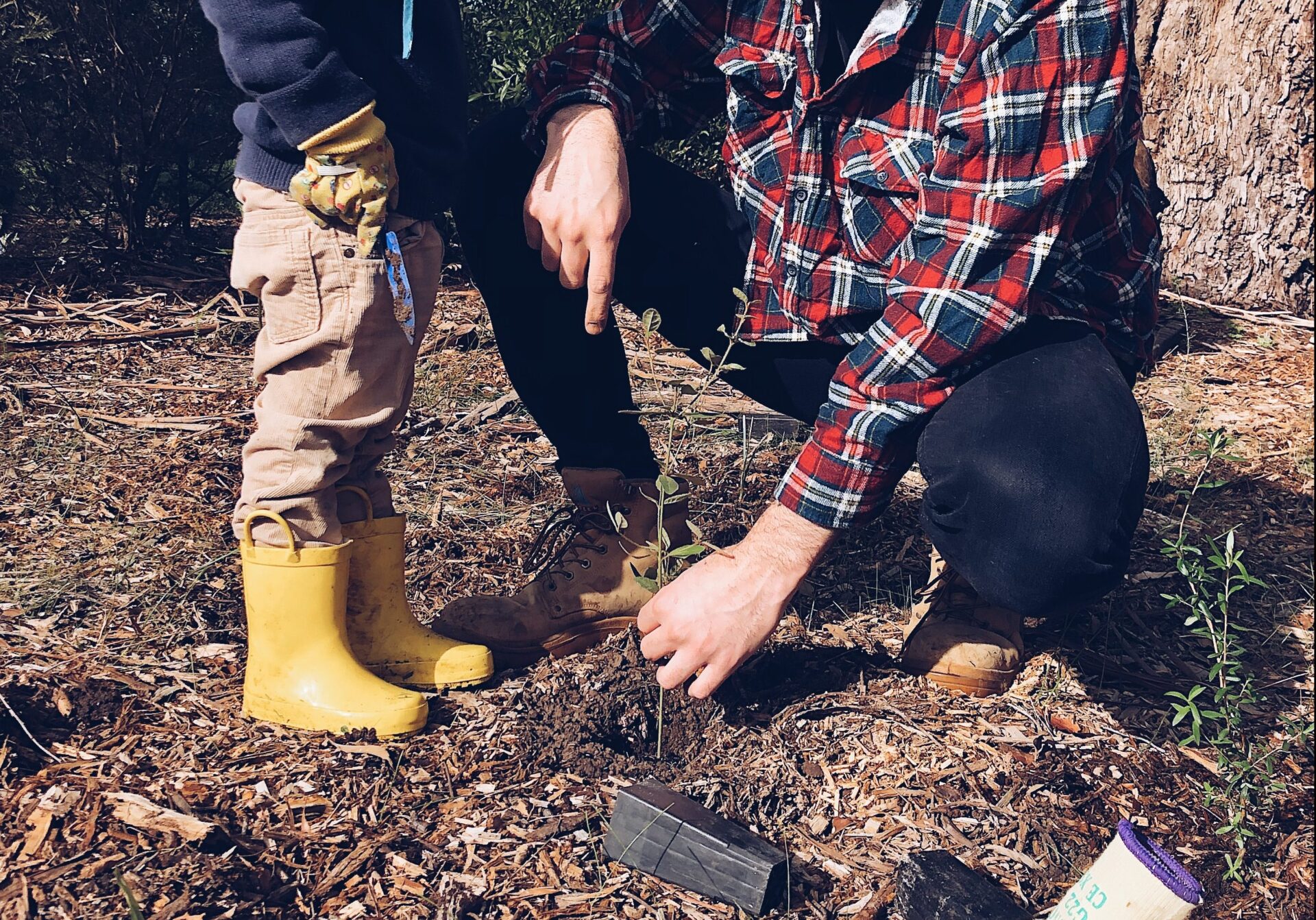 tree_planting_sadnja_drveća