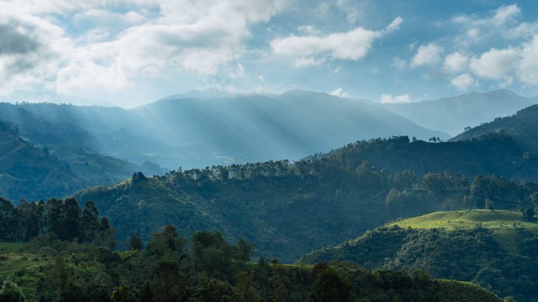 Zabeležen novi rekord krčenja prašuma Amazonije