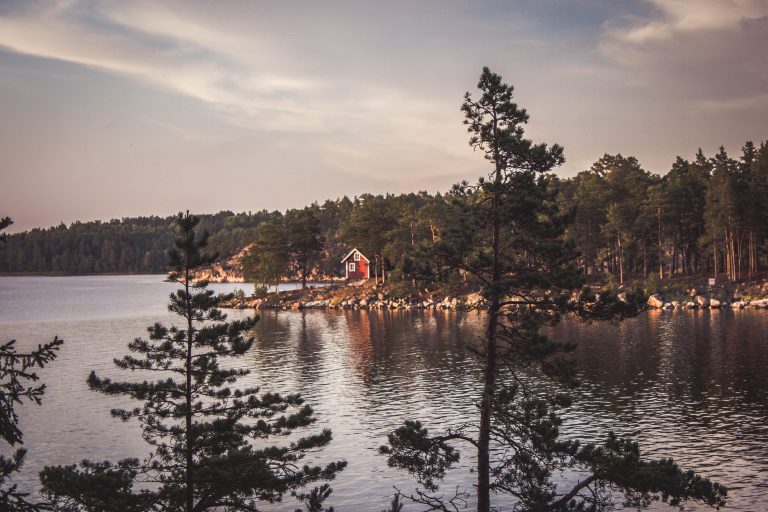 Prvo ekolološko selo budućnosti gradiće se u Švedskoj
