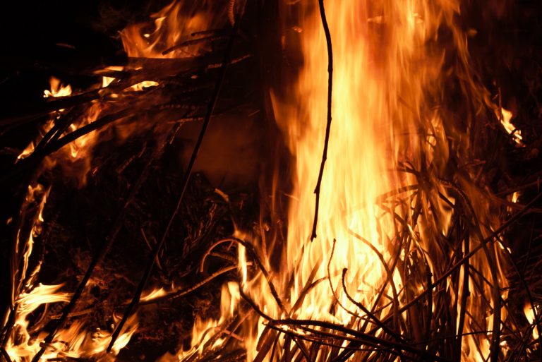 Neočekivano otkriće – i požari mogu da doprinesu skladištenju ugljenika