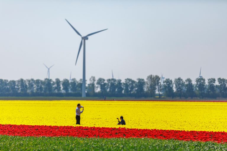 Za ispunjenje ciljeva Pariskog sporazuma neophodno još 3.000 GW čiste energije do 2030.