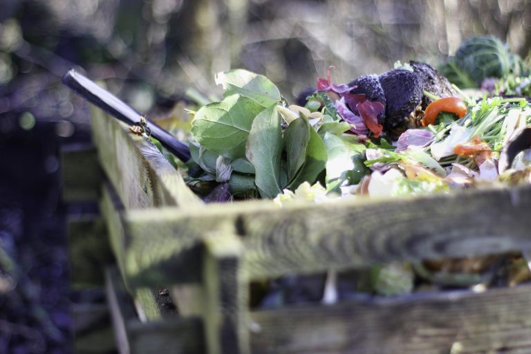 Prva američka država u kojoj su građani po zakonu obavezani da kompostiraju organski otpad