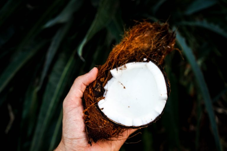 Proizvodnja milion tona kokosovog ulja negativno utiče na više od 20 ugroženih vrsta?