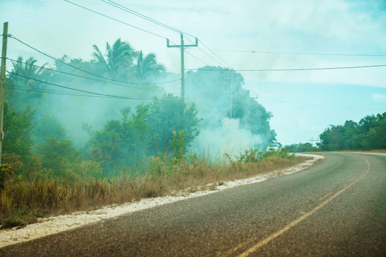 Amazonija opet gori – a požari pored prirode narušavaju i zdravlje obolelih od koronavirusa