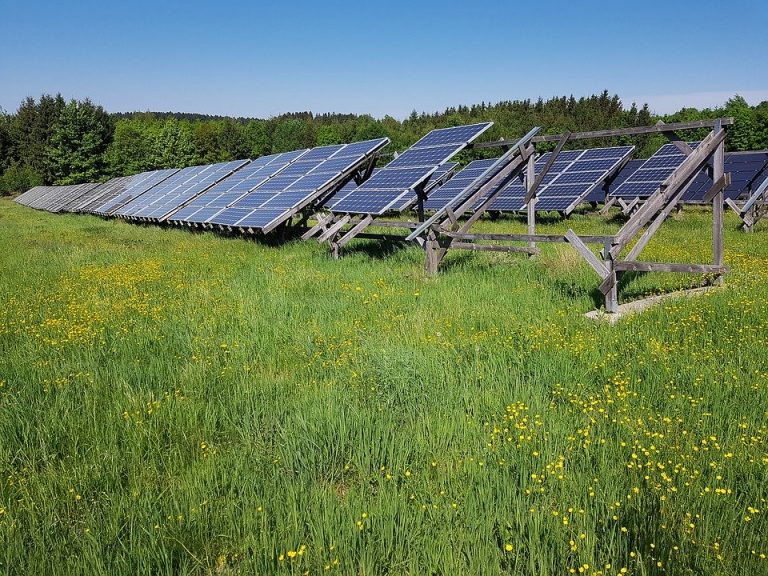 Solarni paneli u zaštiti vinograda od klimatskih promena
