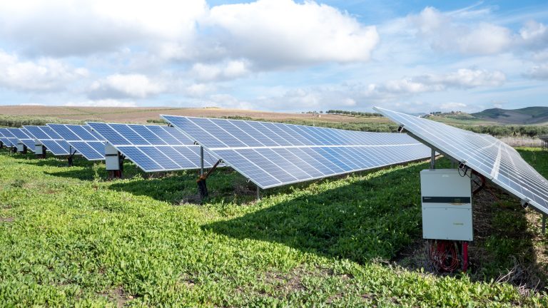 Zvanično počeo prvi agrosolarni projekat u regionu – Vrednost investicije 340 miliona evra