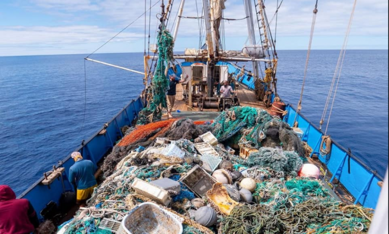 Tokom dvodnevnog čišćenja Pacifika uklonjeno 103 tone otpada