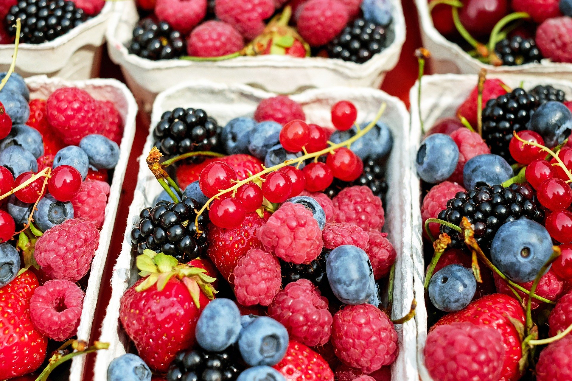 berries_bobičasto_voće