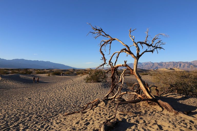 Živa u termometru u Dolini smrti u Kaliforniji dostigla rekordnih 54,4 °C