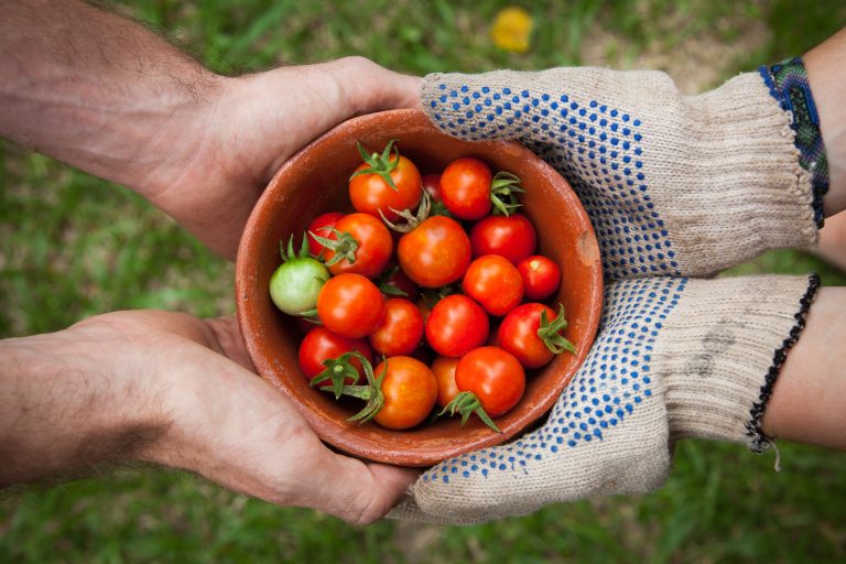 Paradoks – 2,5 milijardi evra za razvoj ruralnih područja u EU otišlo u gradove