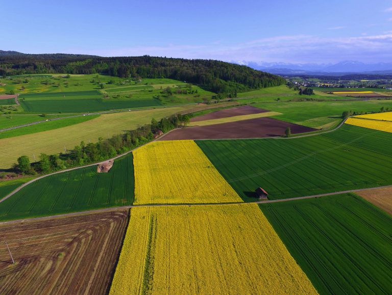 Novi Bečej – dodela 1.400 hektara zemljišta u zakup
