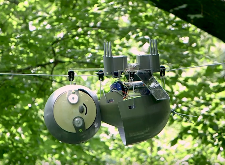 Kako robot-lenjivac na solarnu energiju pomaže očuvanju životinja i biljaka?