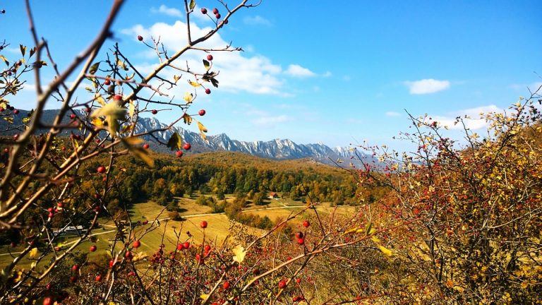 Srbija ušla u ekološki dug – šta to znači?