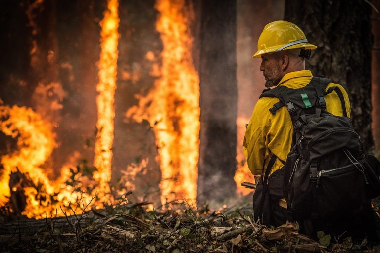 Gromovi izazvali više od 600 požara u Kaliforniji za samo deset dana