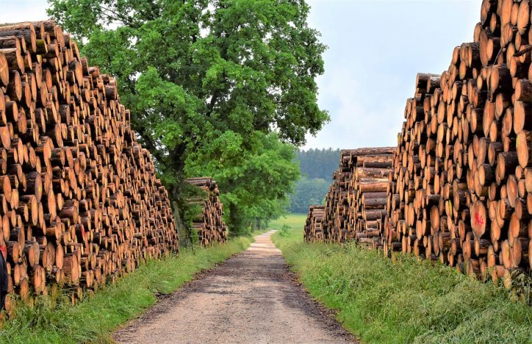 U Bosni i Hercegovini počela priprema za grejnu sezonu – porasla proizvodnja drveta