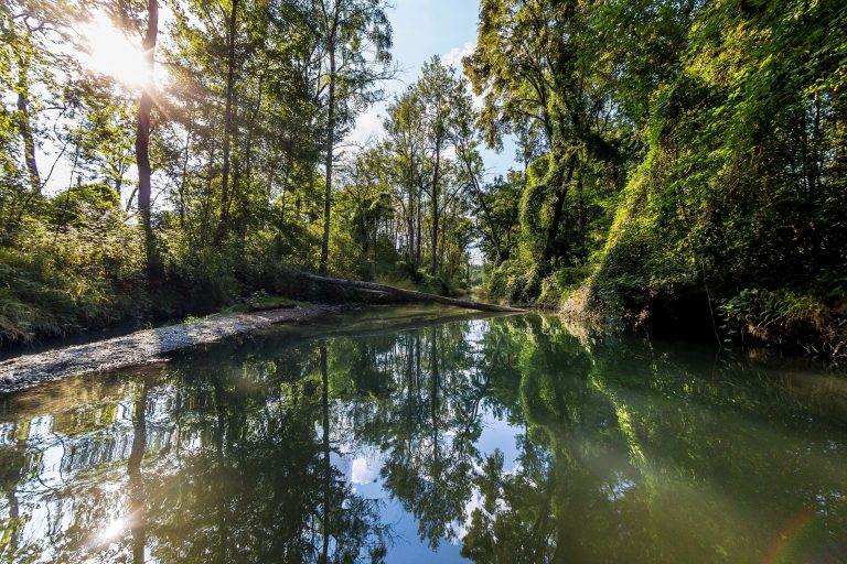 Mali korak za čoveka, veliki za prirodu – biodiverzitet i klimatske promene u Srbiji