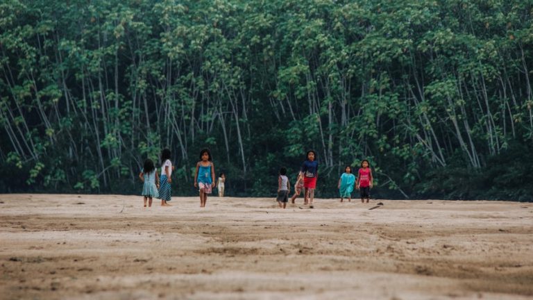 Klimatska kriza bi mogla amazonsku prašumu da pretvori u savanu