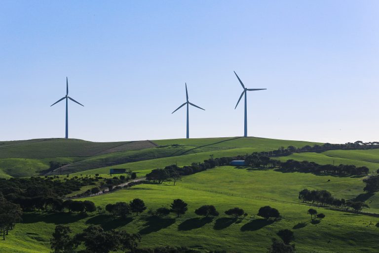 Vetar za održivost – zaštita životne sredine uz dalji razvoj vetroelektrana