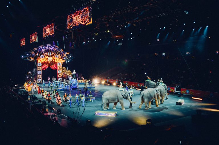 Francuska zabranjuje upotrebu divljih životinja u cirkusima