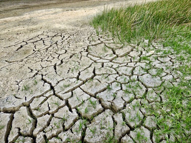 Najava projekta „Uloga zemljišta u kruženju ugljenika i ublažavanju klimatskih promena” u Novom Sadu