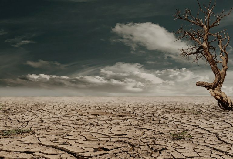 Svetski dan borbe protiv dezertifikacije i suše