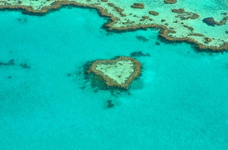 U Australiji otkriven koralni greben visine preko 500 metara