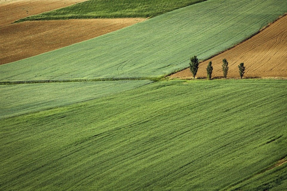 nature-land-plot-zemljiste-polje-fild