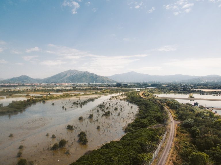 Poplave ne jugu Srbije, proglašena vanredna situacija u tri opštine