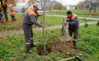 Nastavljena akcija ozelenjavanja Kragujevca