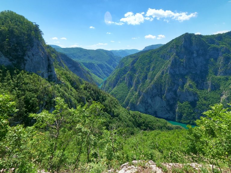Kada će Kopaonik, Tara i Fruška gora u Uneskov projekat zaštite prirodne baštine