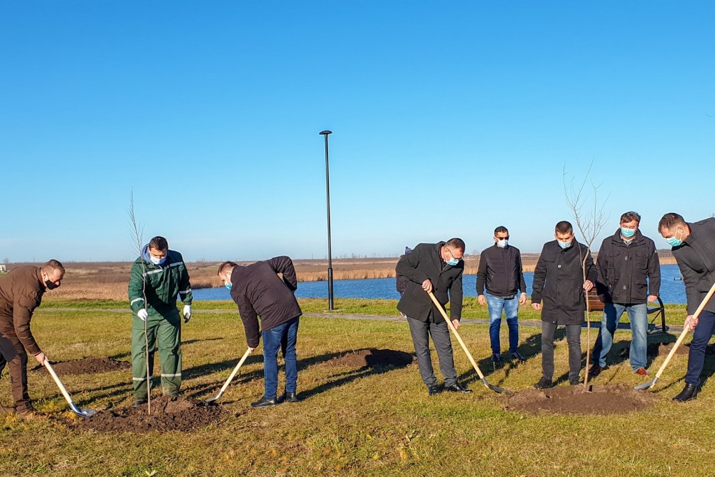 29122020_drvece_1 (1)