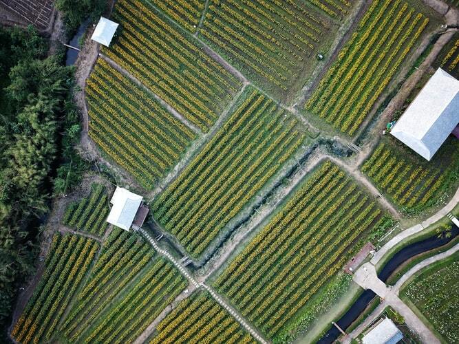 Sekvestracija ugljenika – da li će poljoprivrednici raditi više za isti novac?