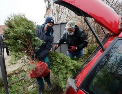 Počelo ozelenjavanje opštine Novi Kneževac