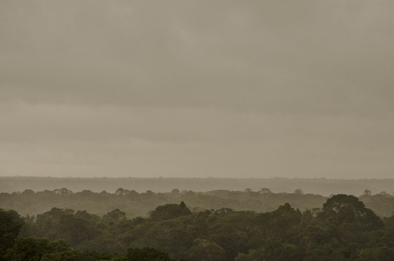 Tropske šume bi mogle da počnu da proizvode ugljen-dioksid do 2050. godine