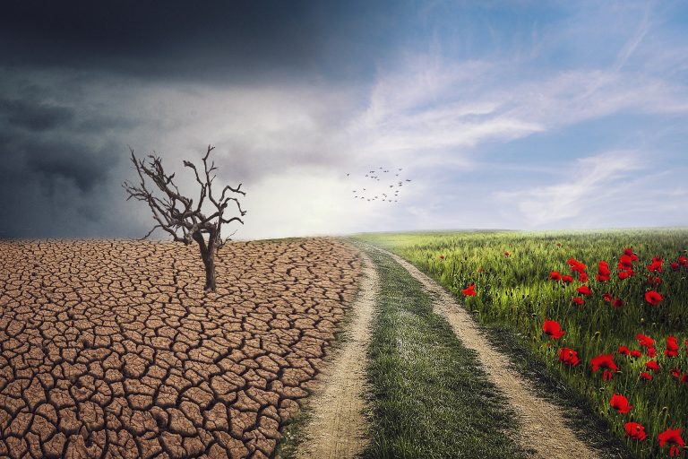 Može li Srbija da se prilagodi na nove klimatske uslove?