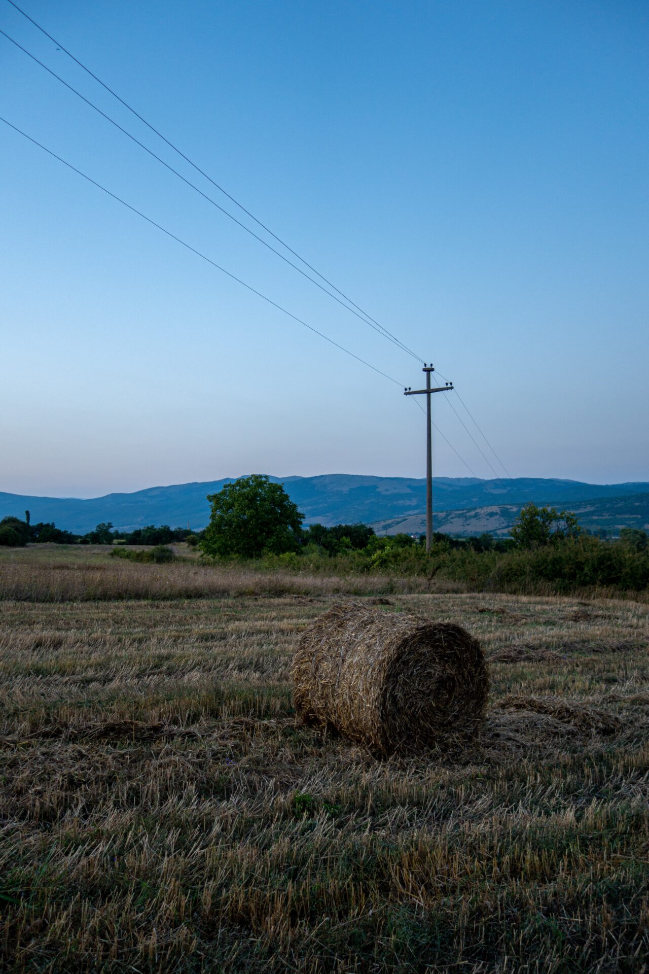 nikola-johnny-mirkovic-JVT7L5XZypM-unsplash