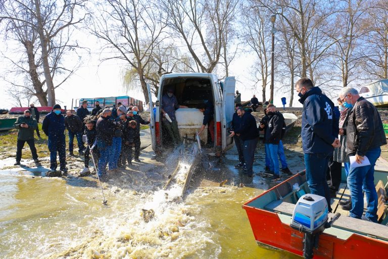 Poribljavanje na ribolovnim vodama JVP “Vode Vojvodine”