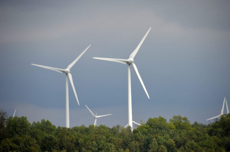 Poljaci i Španci planiraju gradnju dve vetroelektrane snage 300 i 90 MW u Lovćencu i Feketiću