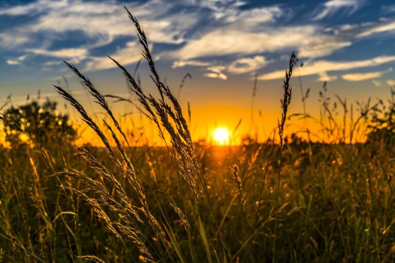 OBNOVLJIVI IZVORI ENERGIJE PUT ZA IZLAZAK IZ ENERGETSKE KRIZE