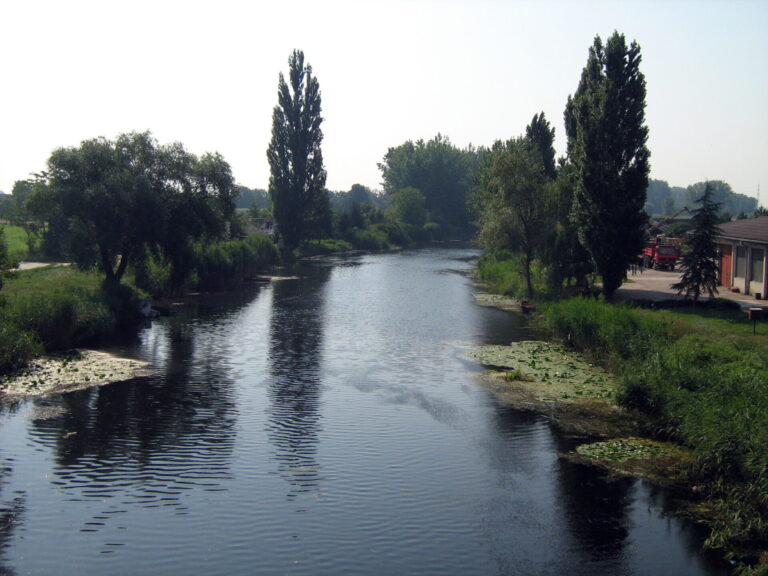 Planovi za revitalizaciju Velikog bačkog kanala kod Sombora